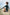 Ankle brace (malleotrain) Ankle brace (malleotrain)